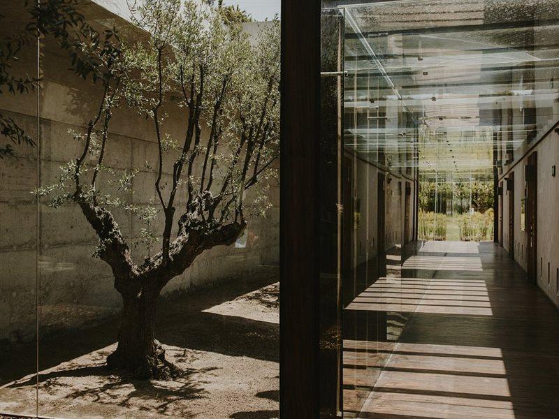 Areias Do Seixo Charm Hotel & Residences 아 도스 쿤하도스 외부 사진